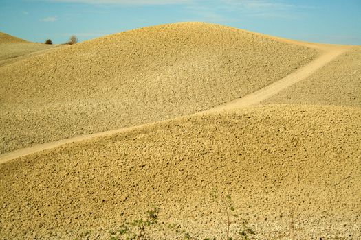 Landscape of crete senesi at summer  in Tuscany , Italy 