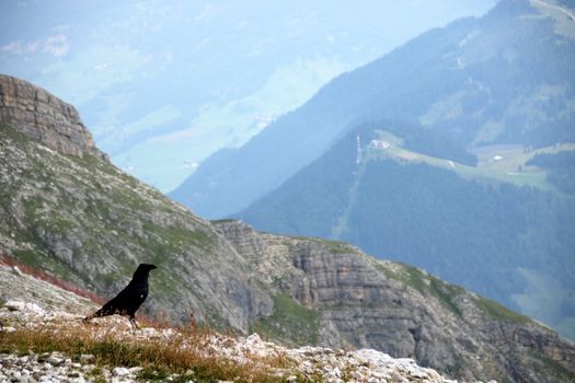 Landscape of Dolomites mountain at Piz Boe  in Sud Tyrol, Alto Adige, Italy