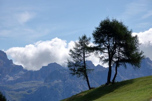 Landscape of Dolomites mountain at Col Alt   in Alto Adige, Sud Tyrol, Italy