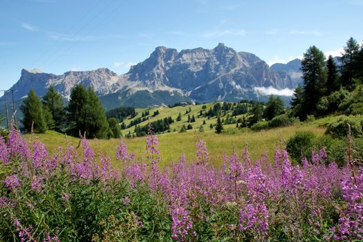 Landscape of Dolomites mountain at Col Alt   in Alto Adige, Sud Tyrol, Italy