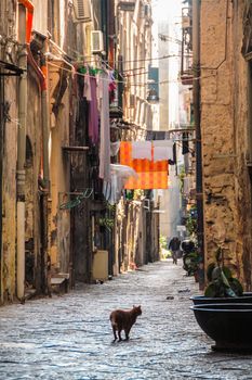 AT NAPLES, ITALY - ON 11/26/2016  narrow alley in the historical center of Naples, Italy