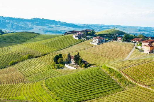 Landscape of langhe, Piedmont, Italy