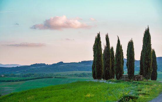 Landscape of tuscan countryside, Val d'Orcia, Siena