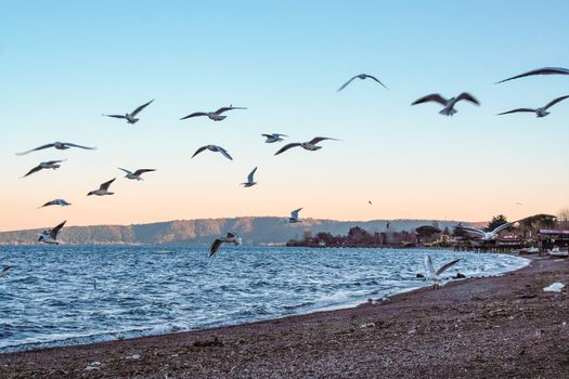 Lake of Bracciano, Rome, Lazio, Italy