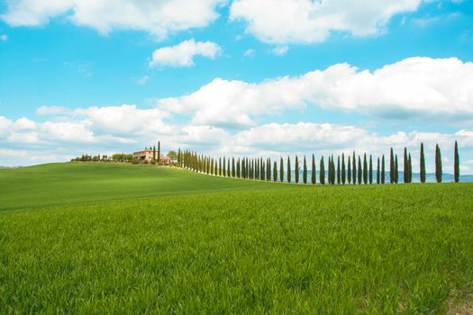 Landscape of tuscan countryside, Val d'Orcia, Siena