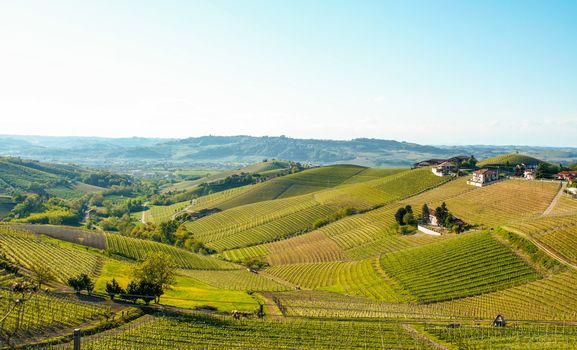 Landscape of langhe, Piedmont, Italy