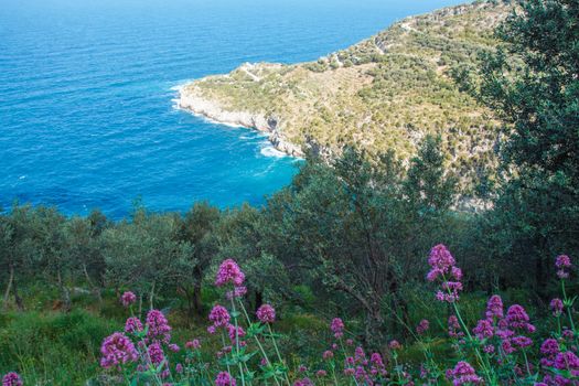 Punta Campanella landscape of sorrento's peninsula and gulf, Naples, Italy