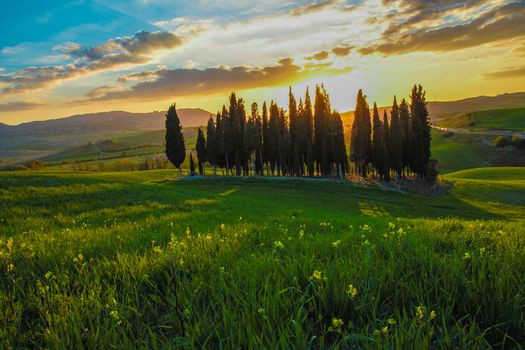 Landscape of tuscan countryside, Val d'Orcia, Siena
