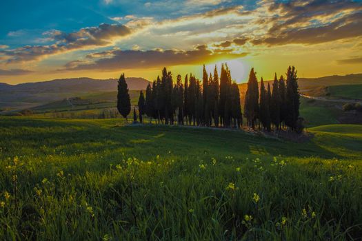 Landscape of tuscan countryside, Val d'Orcia, Siena