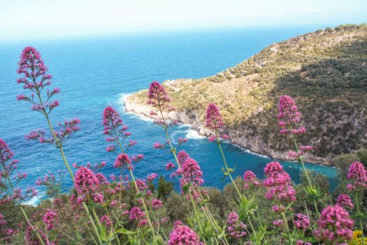Punta Campanella landscape of sorrento's peninsula and gulf, Naples, Italy