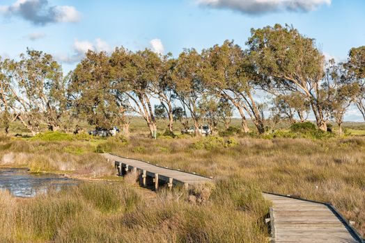 View from the Geelbek Bird Hide boardwalk on the Langebaan Lagoon on the Atlantic Ocean coast of the Western Cape Province