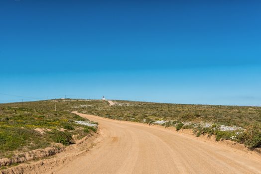The road to Tietiesbaai near Paternoster. The Cape Columbine Lighthouse and wild flowers are visible