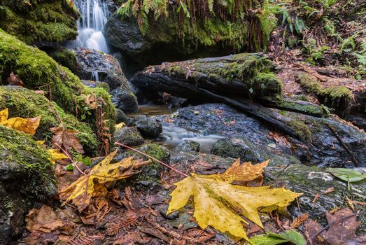 A waterfall in the mountains of Northern California. Color image, day.