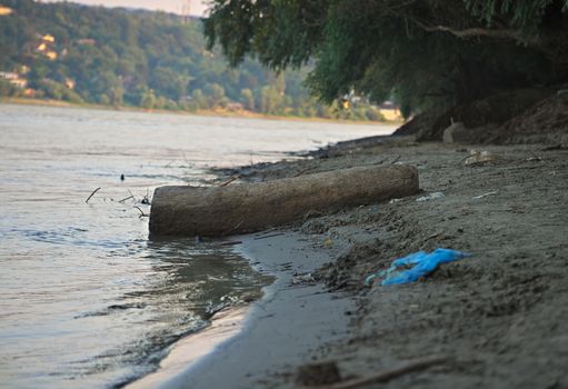 Tree trunk stranded on river Danube shore