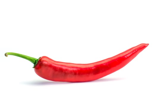 pepper red on a white background.
