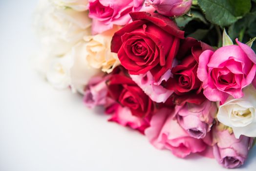 Colorful roses are placed on a white background 