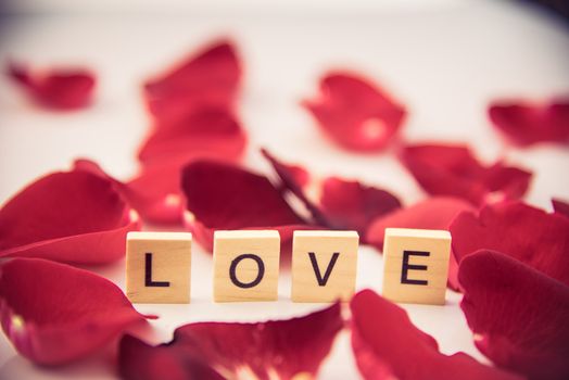 The red roses are placed on a white background and the wooden letters lined the word "love".