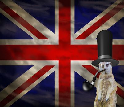 old retro english concept of a funny elegant suricate wearing a top hat isolated on a background with the flag of england