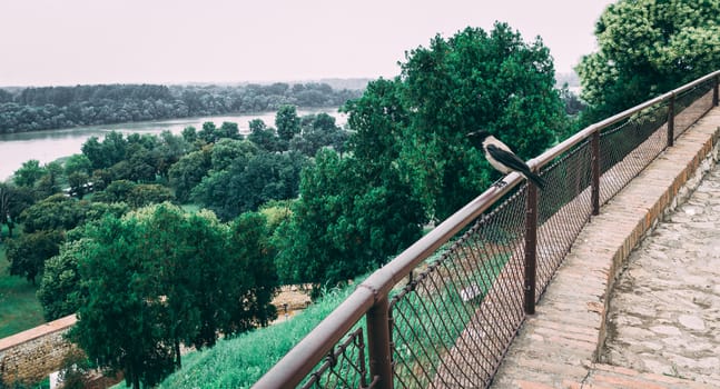 Panoramic view of the Danube and Sava rivers from the Belgrade fortress and Kalemegdan in Serbia on a cloudy summer day