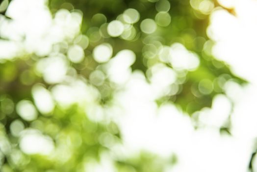Natural Bokeh background