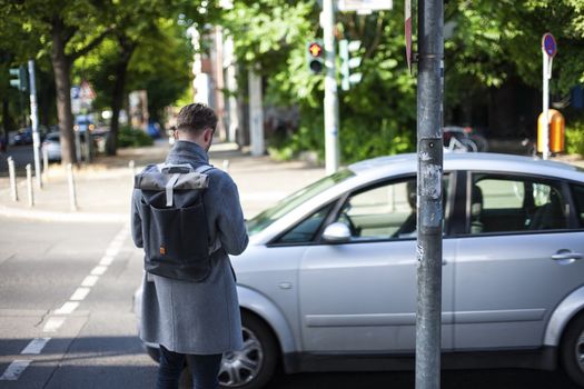 Young man pedestrian wearing winter clothes with the device in his hand standing on crosswalk. View from back