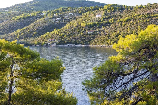 Beach at Alonissos in summer, Greece