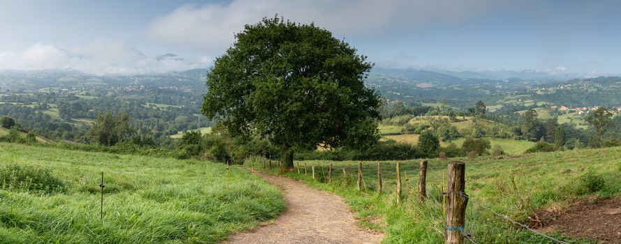 Beautiful landscape along the Camino de Santiago trail between Oviedo and Grado, Asturias, Spain