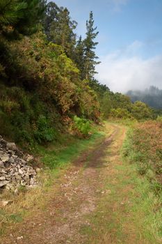 Camino de Santiago trail between Salas and Tineo, Asturias, Spain