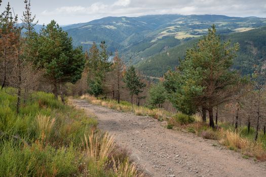 Camino de Santiago trail between Pola de Allande and Grandas de Salime, Asturias, Spain