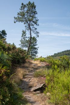 Camino de Santiago trail between Pola de Allande and Grandas de Salime, Asturias, Spain