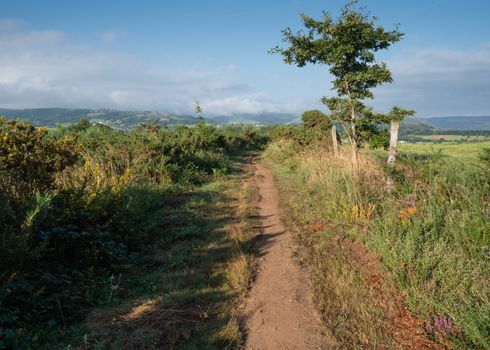 Camino de Santiago trail between Grandas de Salime and Fonsagrada, Asturias, Spain