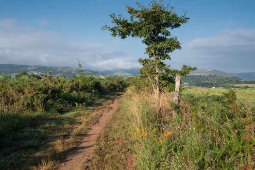 Camino de Santiago trail between Grandas de Salime and Fonsagrada, Asturias, Spain