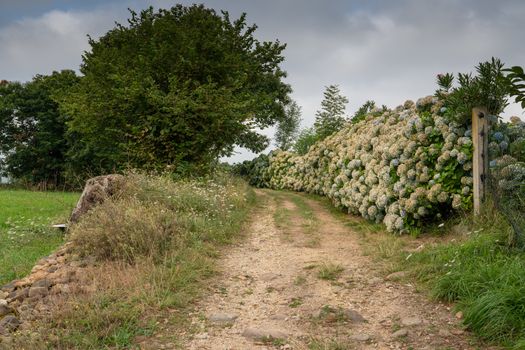 Camino de Santiago trail between Grado and Salas, Asturias, Spain