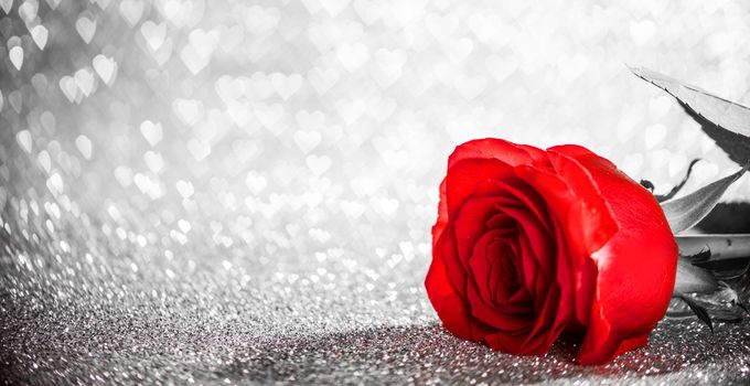 Beautiful red rose on heart shape bokeh glitter background