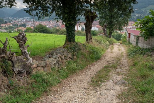 Camino de Santiago trail between Grado and Salas, Asturias, Spain