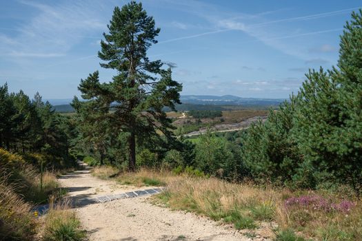 Panoramic landscape along the Camino de Santiago trail between Grandas de Salime and Fonsagrada, Galicia, Spain