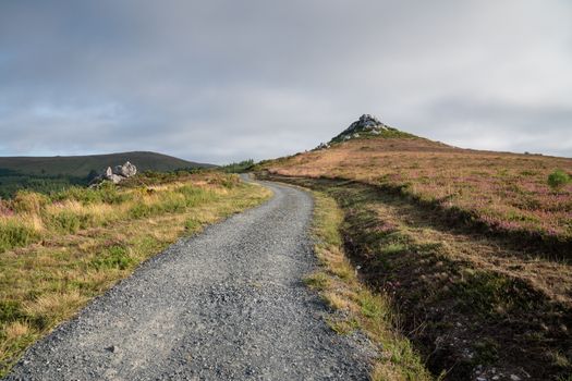 Panoramic landscape along the Camino de Santiago trail between Lugo and Melide, Galicia, Spain