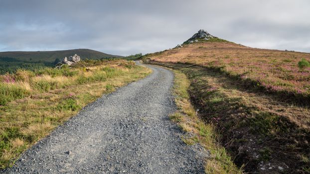Panoramic landscape along the Camino de Santiago trail between Lugo and Melide, Galicia, Spain
