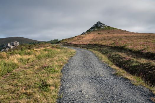 Panoramic landscape along the Camino de Santiago trail between Lugo and Melide, Galicia, Spain