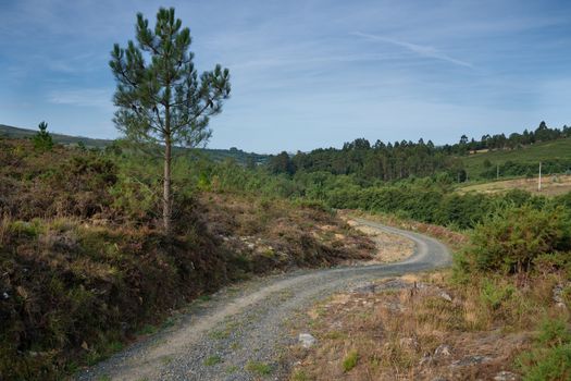 Panoramic landscape along the Camino de Santiago trail between Lugo and Melide, Galicia, Spain