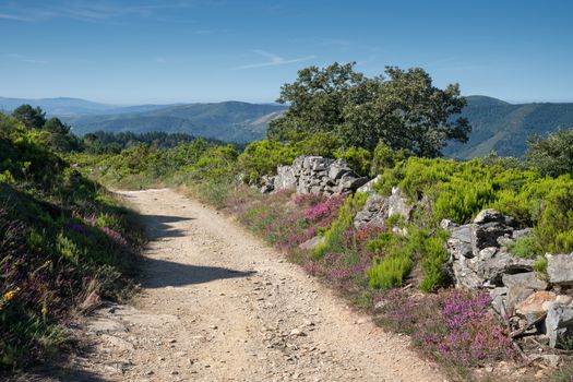 Panoramic landscape along the Camino de Santiago trail between Fonsagrada and O Cadavo, Galicia, Spain