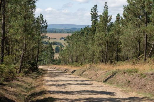 Panoramic landscape along the Camino de Santiago trail between Lugo and Melide, Galicia, Spain