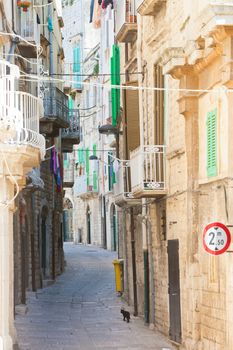Molfetta, Apulia, Italy - A black cat tiptoeing through a historic alleyway in Molfetta