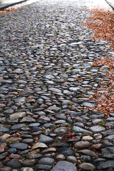 Autumn background. Old empty cobblestone roadway with leaves in provincial town