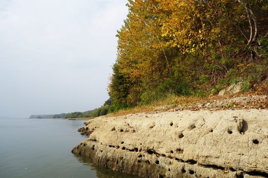 Autumn on the Danube River in Romania
Natural areas on the Danube River and the Danube Islands.
Specific forests of willow and poplar in October 2018
Come and see this wonderful autumn