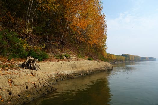 Autumn on the Danube River in Romania
Natural areas on the Danube River and the Danube Islands.
Specific forests of willow and poplar in October 2018
Come and see this wonderful autumn