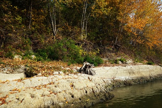 Autumn on the Danube River in Romania
Natural areas on the Danube River and the Danube Islands.
Specific forests of willow and poplar in October 2018
Come and see this wonderful autumn