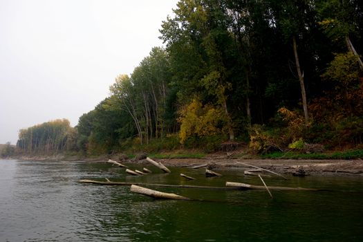 Autumn on the Danube River in Romania
Natural areas on the Danube River and the Danube Islands.
Specific forests of willow and poplar in October 2018
Come and see this wonderful autumn