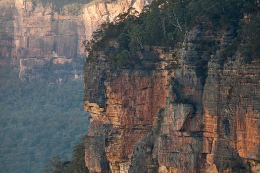 Cliffs of Blue Mountains, closeup in early morning light.  There is a bushwalk track that leads down off the plateau