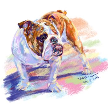 Digital painting of bulldog with shadow on white background